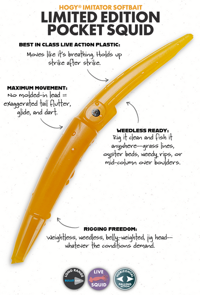Pocket Squid 6.5" Amber (4pk Unrigged)